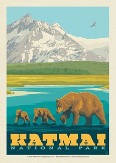 Katmai NP Mama Bear & Cubs | Postcard