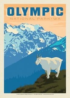 Olympic NP Mountain Goat | Postcard