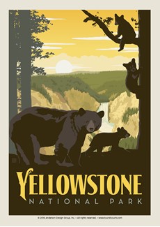 Yellowstone Mama Bear & Cubs | Postcard