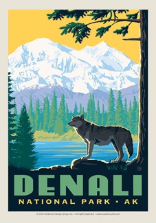 Denali Wolf | Postcard