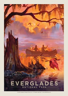 Everglades Splendor Postcard