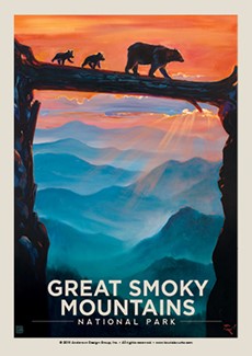 Great Smoky Bear Crossing | Postcard