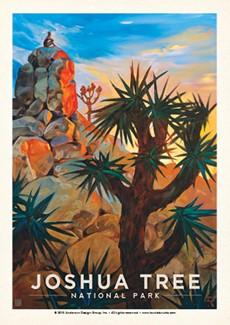 Joshua Tree Desert Sunrise | Postcard