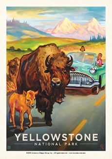 Yellostone Bison Crossing | Postcards