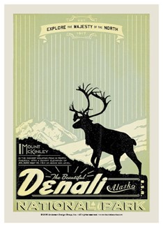 Denali Explore Majesty | Postcard