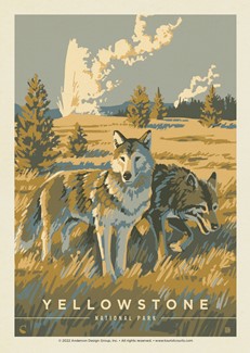 Yellowstone NP Wandering Wolves | Postcard