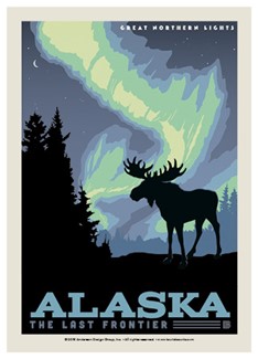Alaska Northern Lights Moose | Postcard