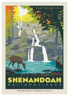 Shenandoah Dark Hollow Falls Postcard