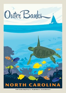 Outer Banks Turtle | Postcard
