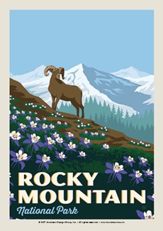 Rocky Mountain Flowers | Postcard