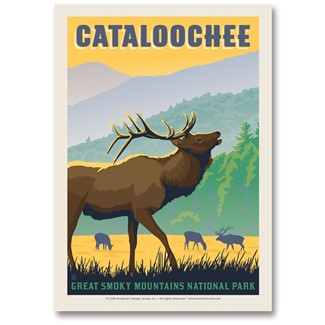Great Smoky Cataloochee Elk | Postcards