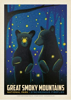 Great Smoky Firefly Cubs | Postcards