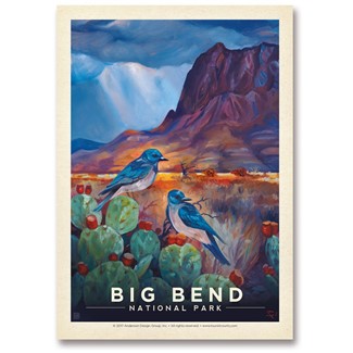 Big Bend NP Desert Perch | Postcards