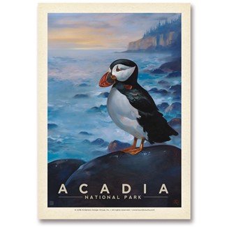 Acadia NP Puffin Postcard