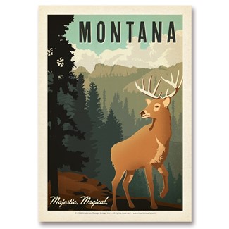 MT Majestic Magical | Postcards