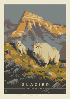 Glacier NP Mama Goat Postcard