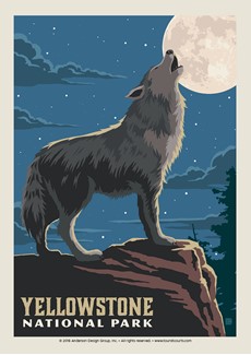 Yellowstone Howling Wolf | Postcards