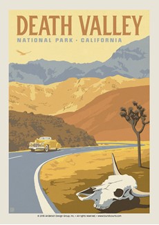 Death Valley Cow Skull | Postcards