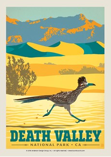 Death Valley Roadrunner Postcard