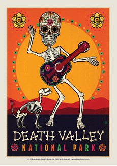 Death Valley Skeleton Postcard