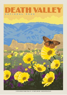 Death Valley Wildflowers Postcard