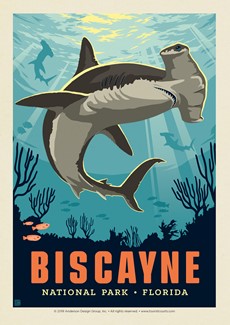 Biscayne NP Hammerhead Shark | Postcard