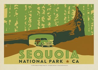 Sequoia Tunnel Log Horizontal | Postcard