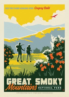 Great Smoky Gregory Bald | Postcards