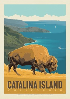 Catalina Bison | Postcard