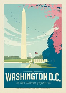 Washington, DC Cherry Blossoms Postcard