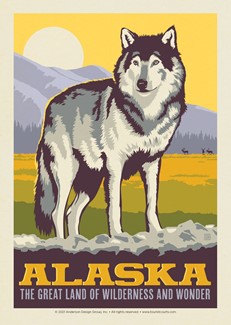 AK Gray Wolf | Postcard