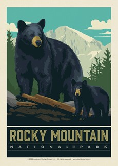 RMNP Wildlife Black Bears | Postcards