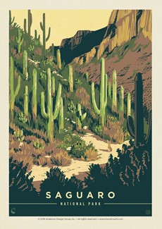 Saguaro Desert Delight | Postcard