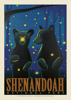 Shenandoah Firefly Cubs | Postcard