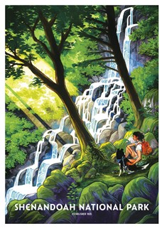 Shenandoah Waterfall Postcard