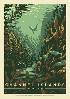 Channel Islands NP Sea Lions | Postcard