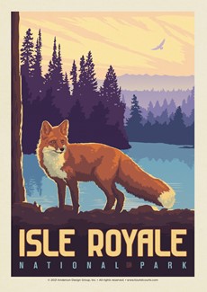 Isle Royale Nation Park Fox | Postcard