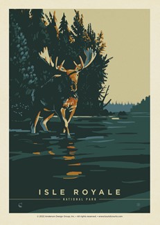 Isle Royale Chocolate Moose Postcard