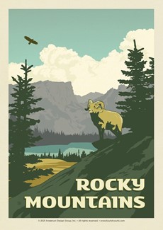 Rocky Mountain Ram | Postcard