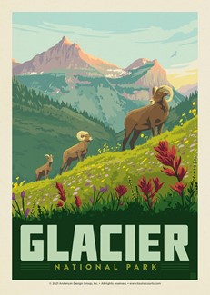 Glacier NP Bighorn Sheep