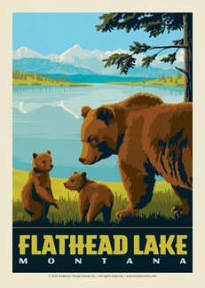 Flathead Lake Bears Postcard