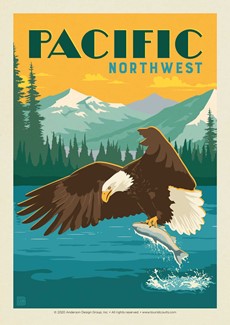 Pacific NW Eagle & Salmon | Postcard