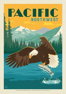 Pacific NW Eagle & Salmon Postcard