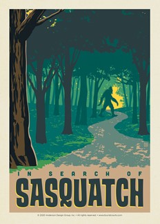 In Search of Sasquatch | Postcard