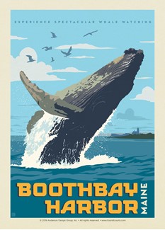 ME Boothbay Harbor Whale Breaching | Postcards