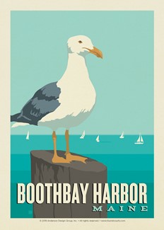 ME Boothbay Harbor Gull Postcard