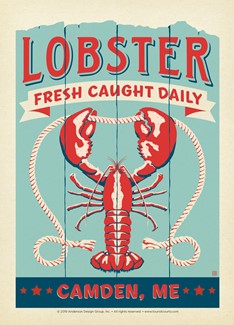 ME Lobster Camden Postcard