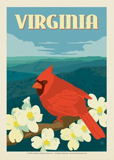 VA Cardinal on Dogwood Postcard