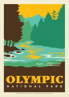 Olympic River Postcard