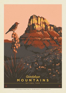 Guadalupe Mountains NP Early Bird | Postcard